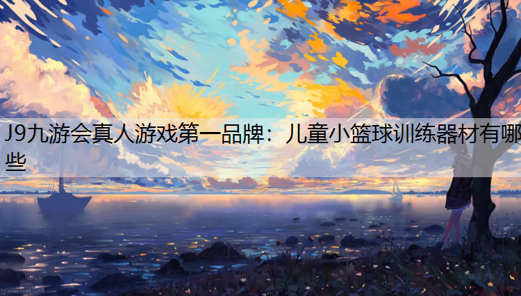 J9九游会真人游戏第一品牌：儿童小篮球训练器材有哪些