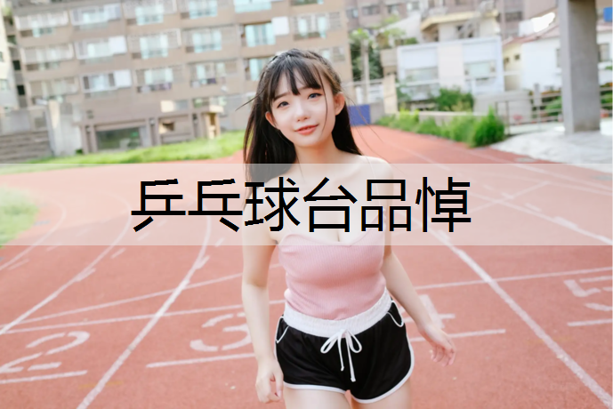 乒乓球台品悼