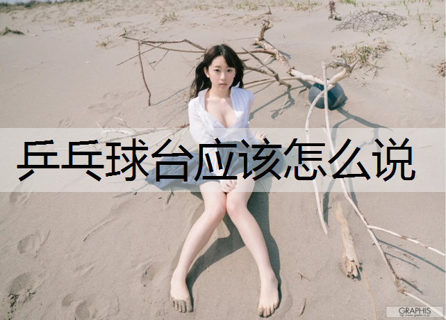 乒乓球台应该怎么说