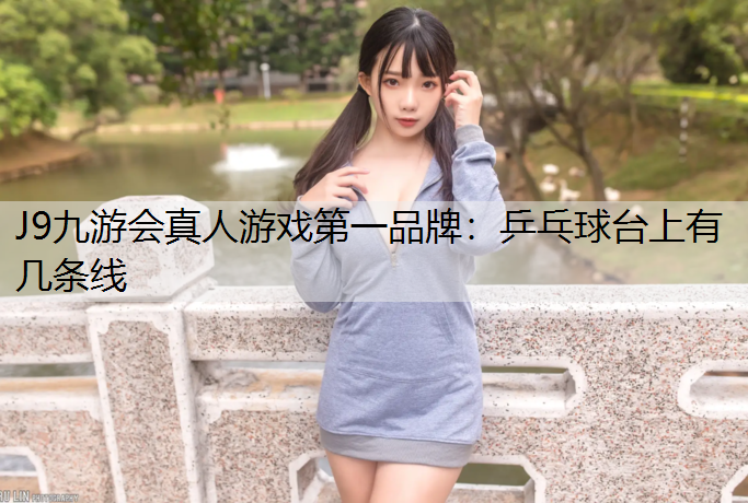乒乓球台上有几条线