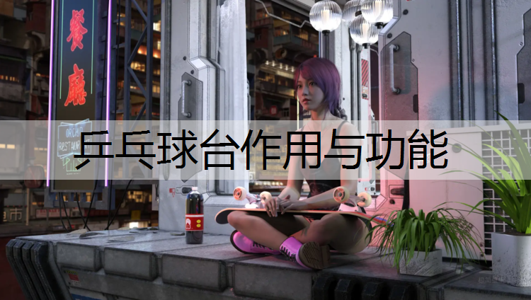 乒乓球台作用与功能