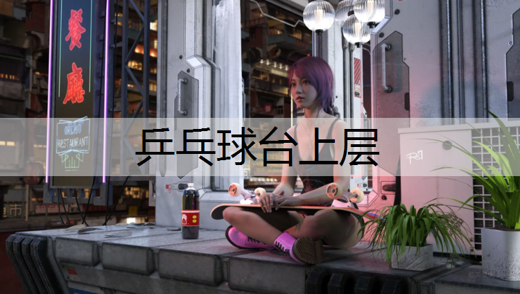 乒乓球台上层