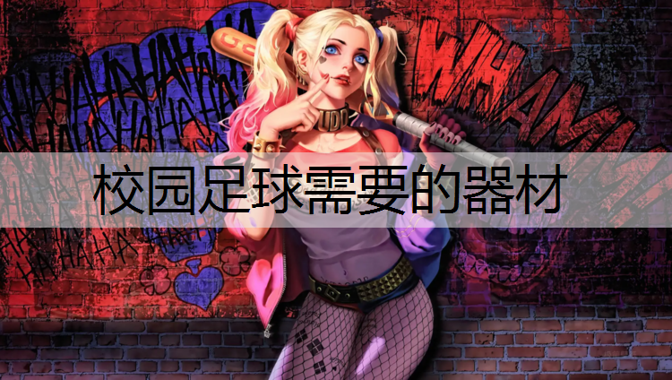 校园足球需要的器材