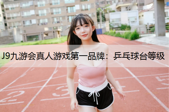 乒乓球台等级