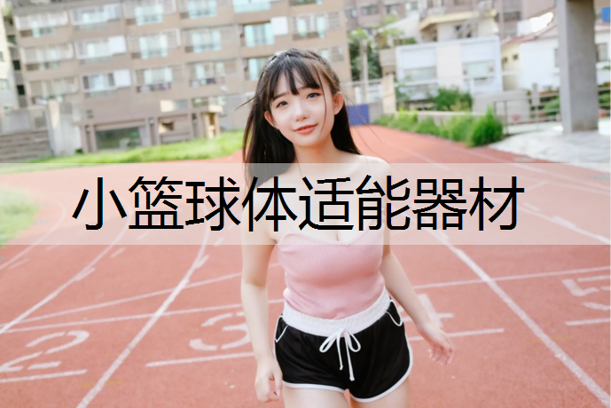 小篮球体适能器材